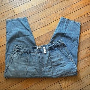 NWT Madewell Pull On Relaxed Jean - 3X